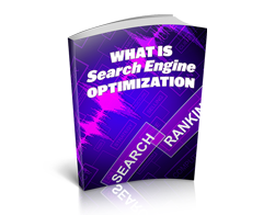 Free MRR eBook – What Is Search Engine Optimization